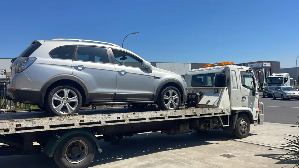 Silver SUV on a transporter